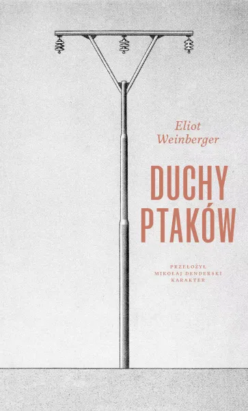 Duchy ptaków zdjęcie 1