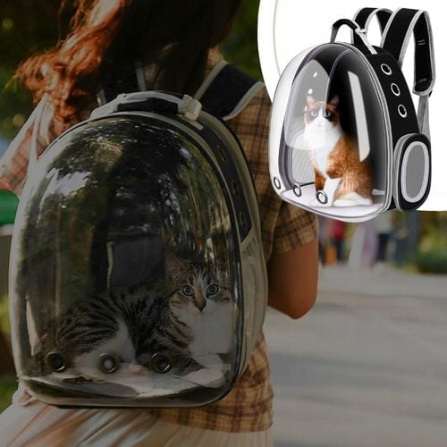 PLECAK DLA KOTA PSA TRANSPORTER PRZEZROCZYSTY WENTYLOWANY NA PSA NA KOTA na Arena.pl