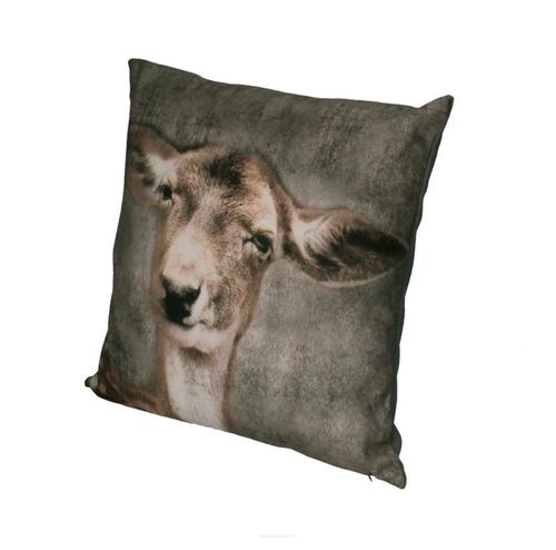 Poduszka LUCKY na Arena.pl