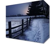 Obraz 20x20cm Ciche Światło Zimy