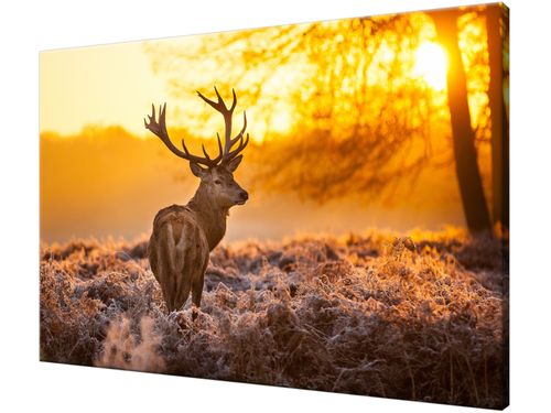 Obraz drukowany na płótnie canvas 120x80 + GRATIS na Arena.pl