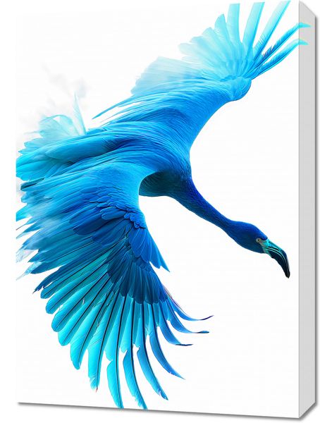 Obraz 50x70cm Błękitny Lot zdjęcie 1