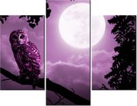 product-compare-58710965