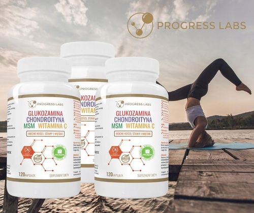 GLUKOZAMINA CHONDROITYNA MSM WITAMINA C STAWY 360k na Arena.pl