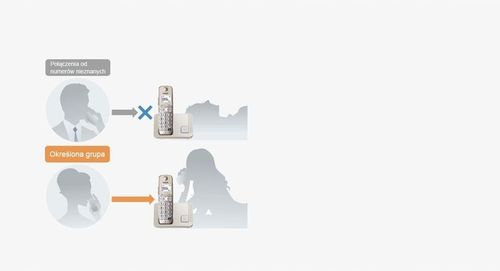TELEFON PANASONIC KX-TGE210PDN na Arena.pl