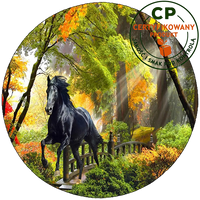 product-compare-54508917