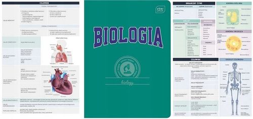 KOMPLET ZESZYTÓW SZKOLNYCH PRZEDMIOTOWYCH ZE ŚCIĄGĄ A5 60K na Arena.pl