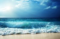 product-compare-58412677