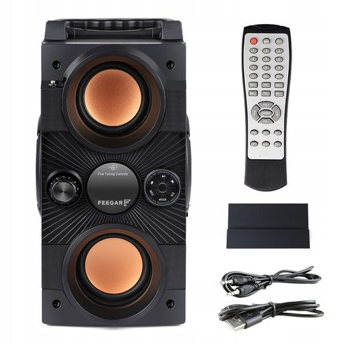 Feegar Głośnik Przenośny Bluetooth Karaoke +Mikrof na Arena.pl