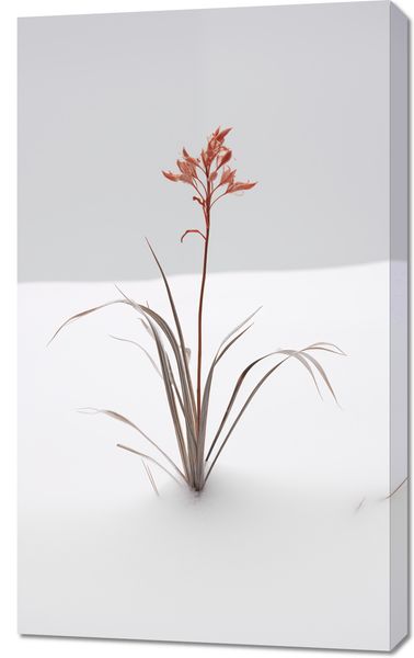 Obraz 60x100cm Subtelność Natury zdjęcie 1