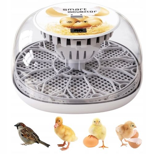 INKUBATOR DO JAJ AUTOMATYCZNY (12 JAJ) WYLĘGARKA KLUJNIK Z OBRACANIEM 35 W na Arena.pl