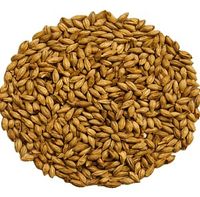 SŁÓD CARAAMBER 1 kg - Weyermann