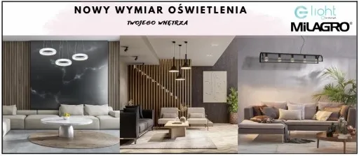 Kinkiet ogrodowy ogród OVALIS EKO8302 Eko-Light zdjęcie 3