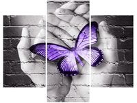 product-compare-58711280