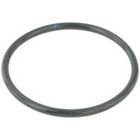 Pierścień korpusu przepustnicy RENAULT MEGANE I 2000 2001 2002 2003 2004
