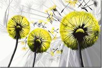 product-compare-58656968