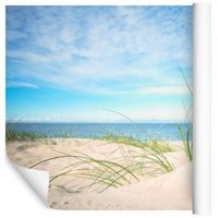 Fototapeta Wydmy Piasek ROŚLINY do Jadalni 3D 180x120