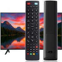 PILOT DO TV UNIWERSALNY ZAMIENNIK DO TELEWIZORÓW BLAUPUNKT SHARP + BATERIE