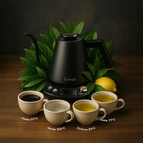 CZAJNIK ELEKTRYCZNY CYFROWY GOOSENECK Z REGULACJĄ TEMPERATURY 1100W 1L na Arena.pl