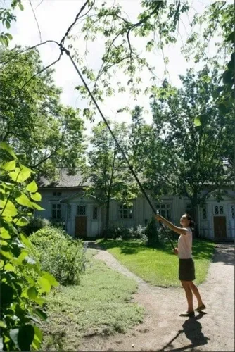 Sekator teleskopowy Fiskars UP86 + Piła UP80 na Arena.pl