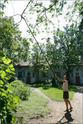 Sekator teleskopowy Fiskars UP86 + Piła UP80 zdjęcie 4