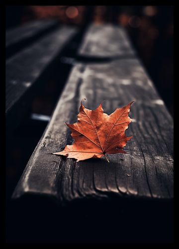 Plakat 29,7x42cm Pojedynczy Liść na Arena.pl