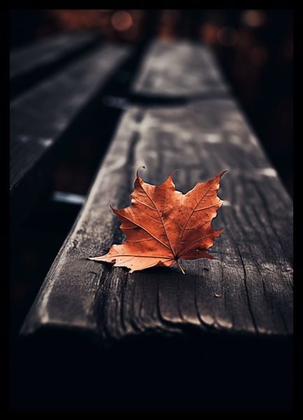 Plakat 29,7x42cm Pojedynczy Liść zdjęcie 2