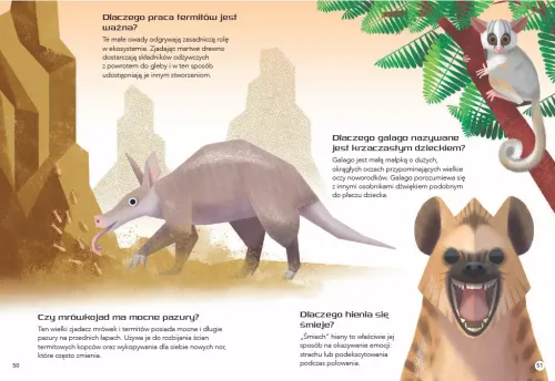 200 Ciekawostek. Zwierzęta Świata na Arena.pl