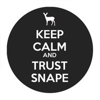 Przypinka Harry Potter