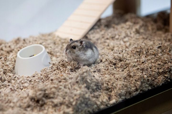 COMFY COTTON BEDDING PODŁOŻE BAWEŁNIANE 10L zdjęcie 4