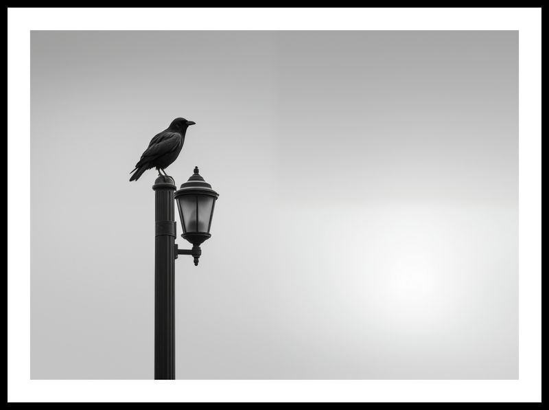 Plakat 70x50cm Samotny Postój Kruka zdjęcie 3