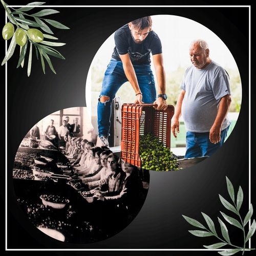 Oliwa z oliwek 1l Extra Virgin obsypana medalami PIERWSZA W PL ZBIÓR 24/25 na Arena.pl