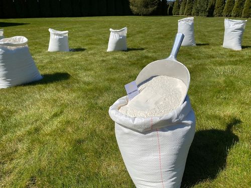 CHLEBOWA PROSTO Z MŁYNA mąka pszenna typ 650 10kg na Arena.pl