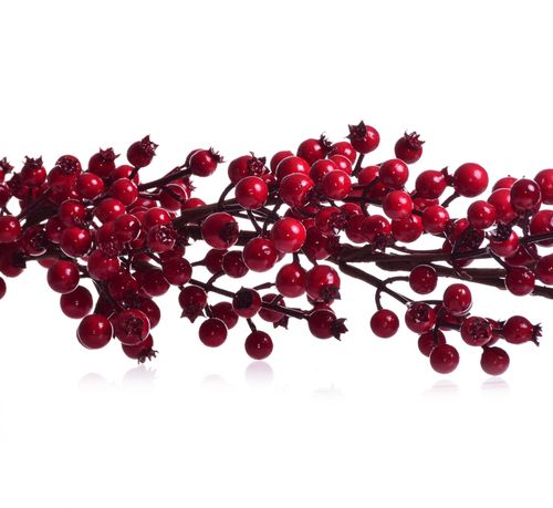 Girlanda głogu na Arena.pl