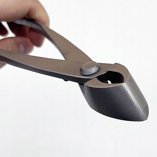 Profesjonalne nożyczki do przycinania drzewek Bonsai na Arena.pl