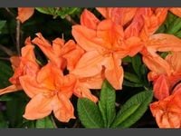 product-compare-61063097