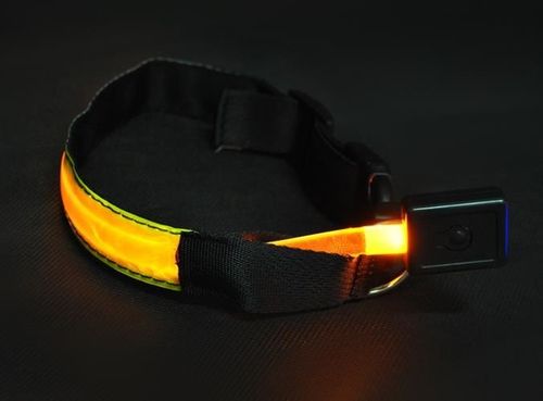 Obroża LED żółta - S na Arena.pl