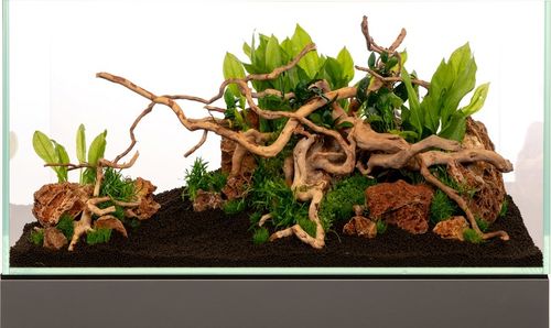 Korzeń do Akwarium Red Moor Zestaw 3-5szt na Arena.pl