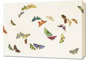 Obraz 70x50cm Butterfly 14, Sekka Japoński Vintage do Salonu