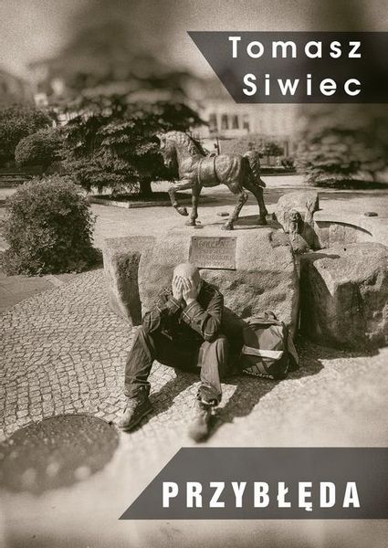 (epub, mobi, pdf) Przybłęda zdjęcie 1