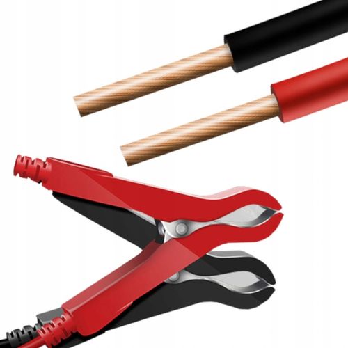 MOCNY PROSTOWNIK AUTOMATYCZNY SAMOCHODOWY LCD 100Ah LCD 12V 6A na Arena.pl