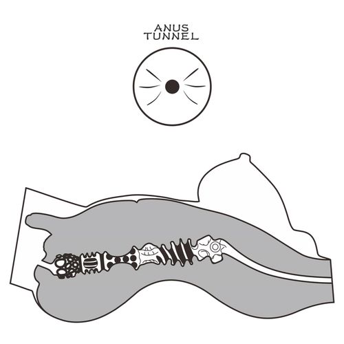 streetgirls #8 na Arena.pl