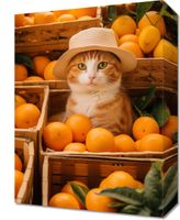 product-compare-59471101