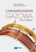 Chromatografia gazowa Waldemar Wardencki, Zygfryd Witkiewicz