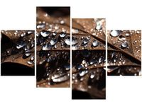 140CM 70 OBRAZ WCZESNA JESIEŃ JENNY DOWNING ŚCIENNY