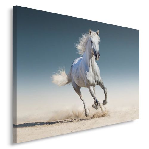 Obraz na płótnie - Canvas, Koń w galopie 40x60 na Arena.pl