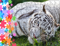 Puzzle tradycyjne Zwierzęta - Tygrys