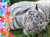 Puzzle tradycyjne Zwierzęta - Tygrys