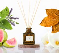 PRISTINE Dyfuzor Trzcinowy o Zapachu Liści Tytoniu 50 ml