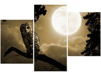 60 90CM OBRAZ 3 ELEM SOWA GAŁĘZI ŚCIENNY DRUK PŁÓTNO